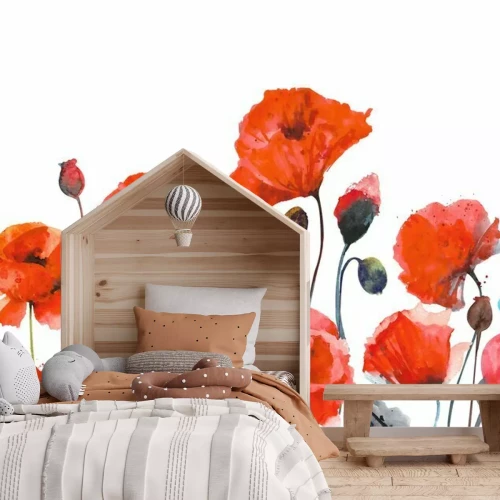 Fototapete Watercolor red poppies. Composition of red poppies on a white background