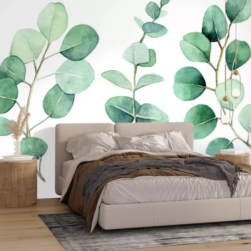 Fototapete Grüne Eukalyptuszweige im Aquarellstil auf weißem Hintergrund