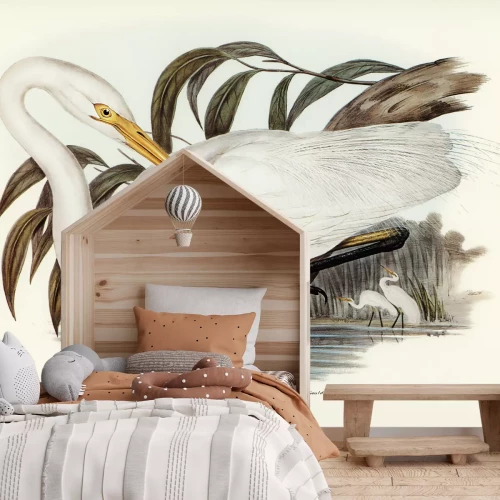 Fototapete Ardea alba modesta