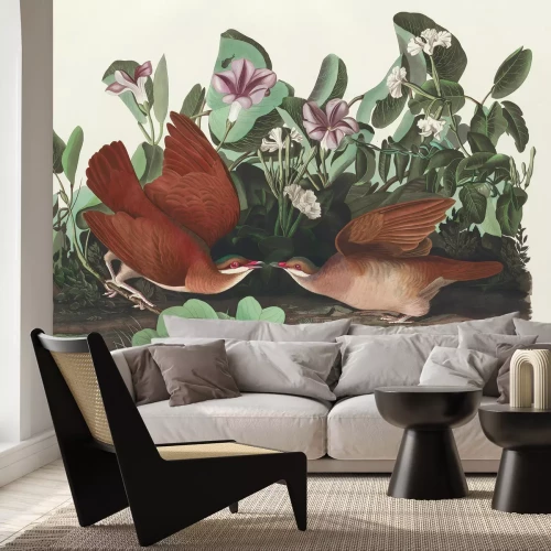 Fototapete Geotrygon chrysia