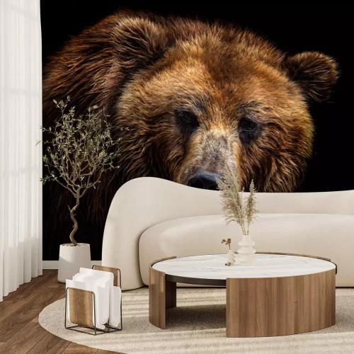 Fototapete Porträt eines Bären auf schwarzem Hintergrund