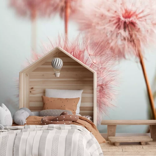 Fototapete Rosa Löwenzahn hautnah