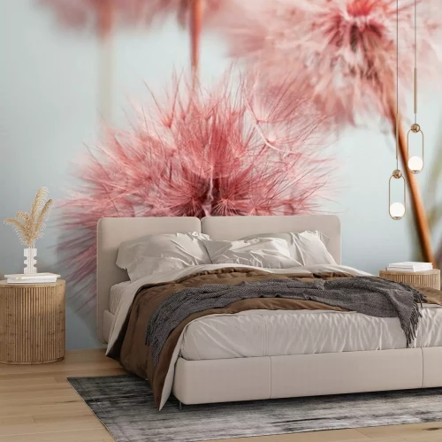 Fototapete Rosa Löwenzahn hautnah