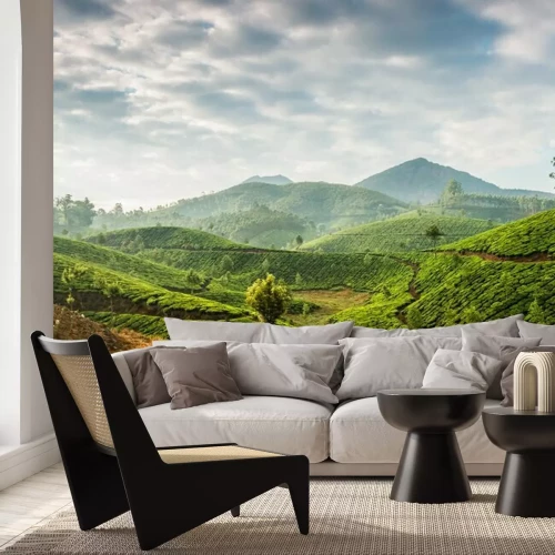 Fototapete Panorama auf Teeplantage