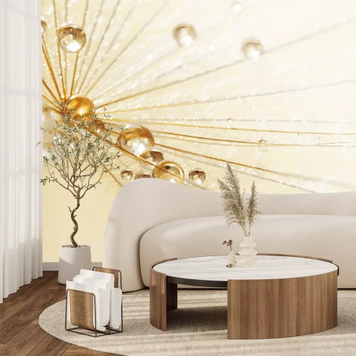 Fototapete Regentropfen auf einem Löwenzahn