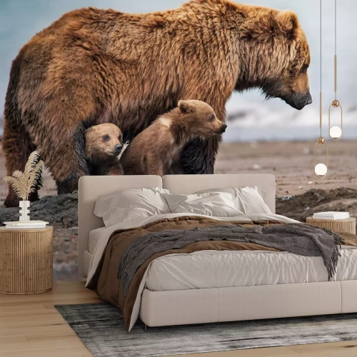 Fototapete Eine Bärenfamilie in ihrem natürlichen Lebensraum