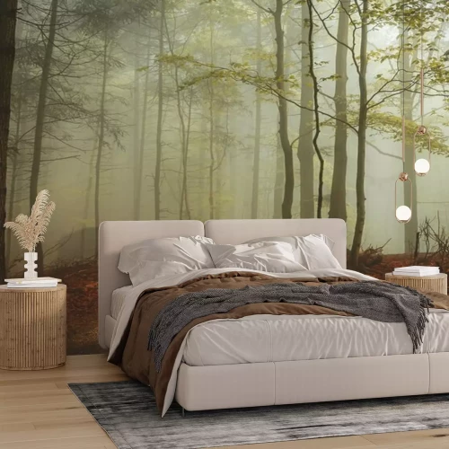 Fototapete Die Frische des Waldes am Morgen