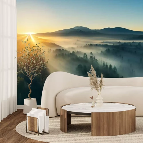 Fototapete Sonnenaufgang über einer nebligen Waldlandschaft