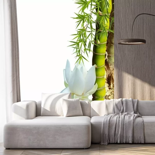 Fototapete Bambus und Lotos am Wasser