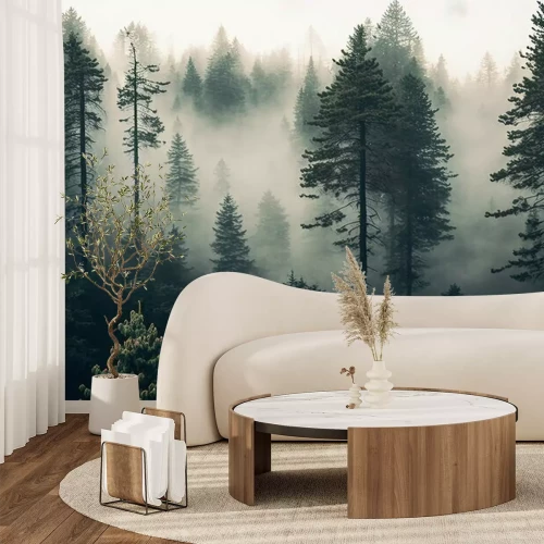 Fototapete Hohe Bäume in einem Nadelwald