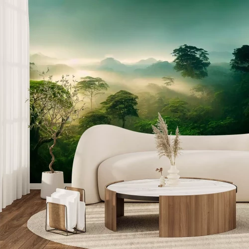 Fototapete Grüner Regenwald am Morgen