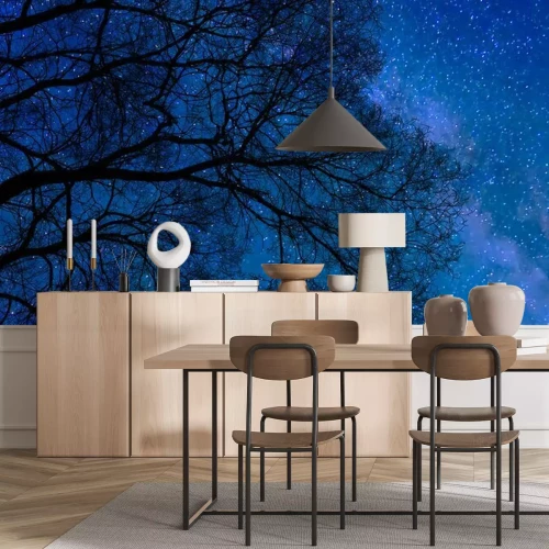 Fototapete Der Sternenhimmel und die Krone eines Laubbaums