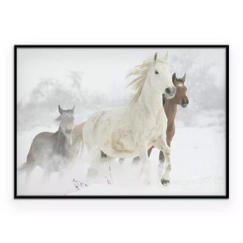 Poster Eine Herde Pferde galoppiert im Winter