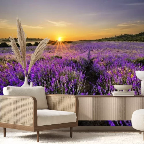 Fototapete Lavendelfeld mit ferner Landschaft