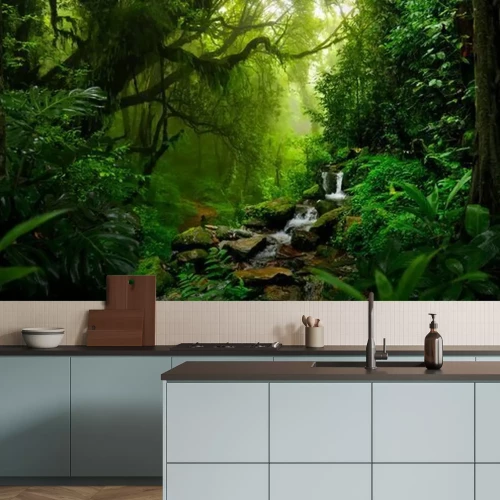 Fototapete Tropical rain forest in Central America