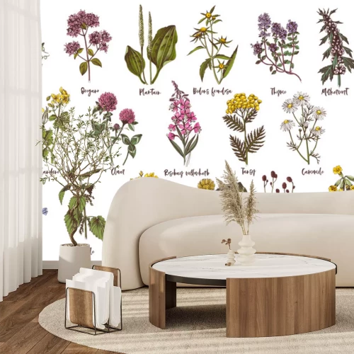 Fototapete Kräuter und Wildpflanzen mit Namen