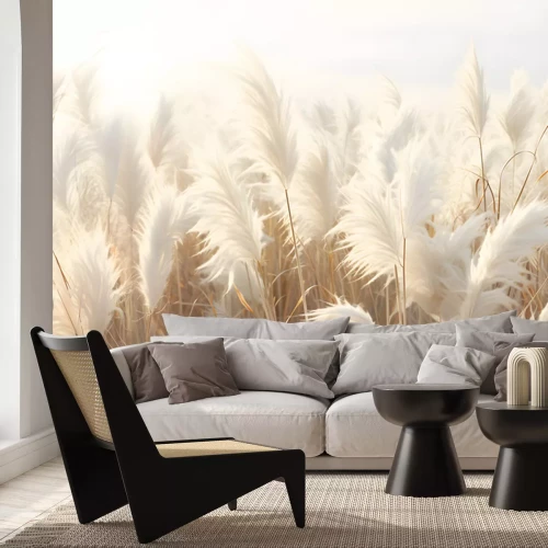 Fototapete Abstract natural background of soft plants. Cortaderia. Fashionable pampas grass in neutral pastel colors. Dry reeds boho style. Aesthetic nature landscape