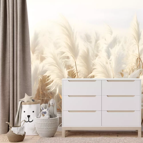 Fototapete Abstract natural background of soft plants. Cortaderia. Fashionable pampas grass in neutral pastel colors. Dry reeds boho style. Aesthetic nature landscape