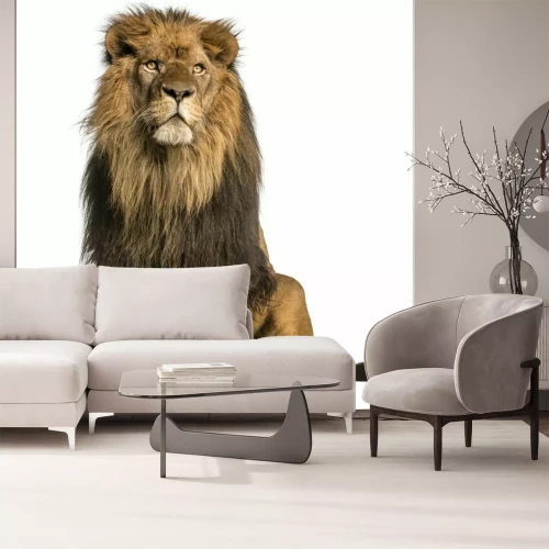 Sticker Sitzender Löwe auf weißem Hintergrund