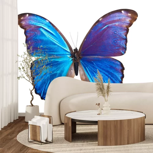 Sticker Blau-violetter Schmetterling auf weißem Hintergrund