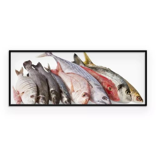 Poster Frischer Fisch auf weißem Hintergrund