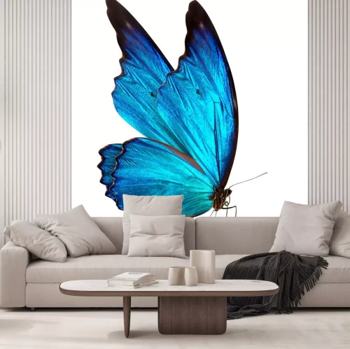 Sticker Nahaufnahme eines blauflügeligen Schmetterlings