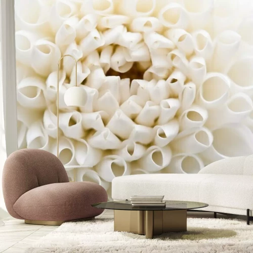 Fototapete Weiße Braut Blumen. Dahlien