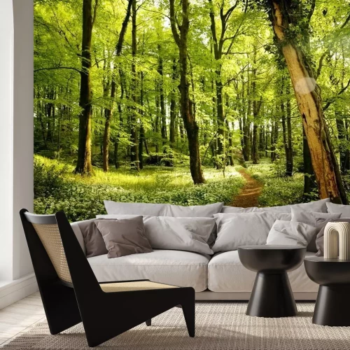 Fototapete Weg in einem frühlingsgrünen Wald