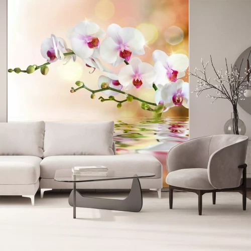 Fototapete Weiße Orchideen auf dem Wasser mit Tropfen