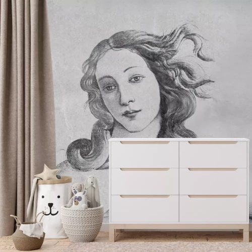 Fototapete Venus in monochromen Farben