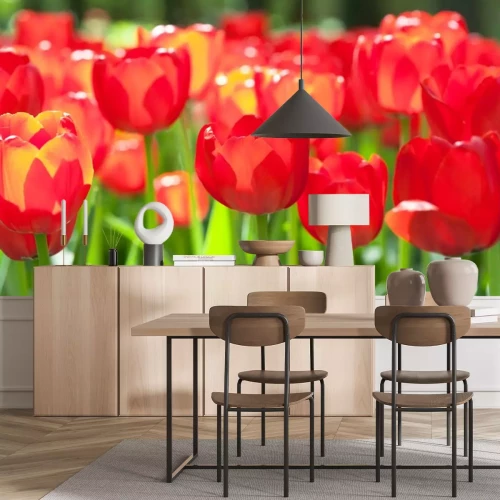 Sticker Rote Blumen glitzern in der Sonne