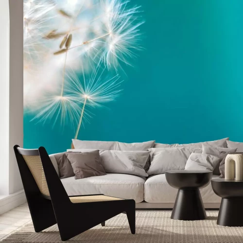 Sticker Löwenzahn auf türkisfarbenem Hintergrund