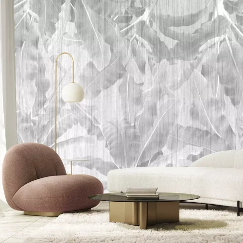 Fototapete Tropische Bananenbäume in Grautönen