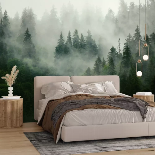 Fototapete Dunkelgrüner Nadelwald im dichten Nebel