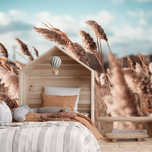 Fototapete Pampasgras im Wind