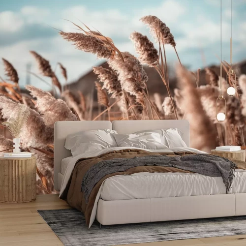 Fototapete Pampasgras im Wind