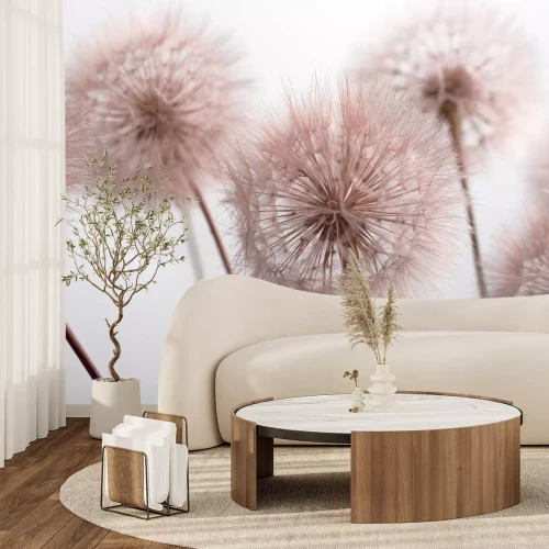 Fototapete Rosa Löwenzahn Nahaufnahme