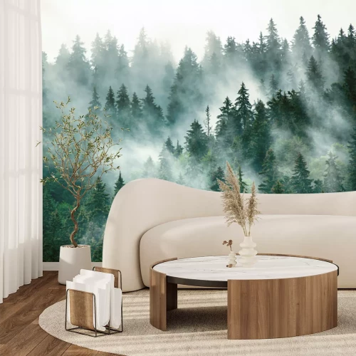 Fototapete Natürliche Landschaft mit einem dunkelgrünen Wald im Nebel