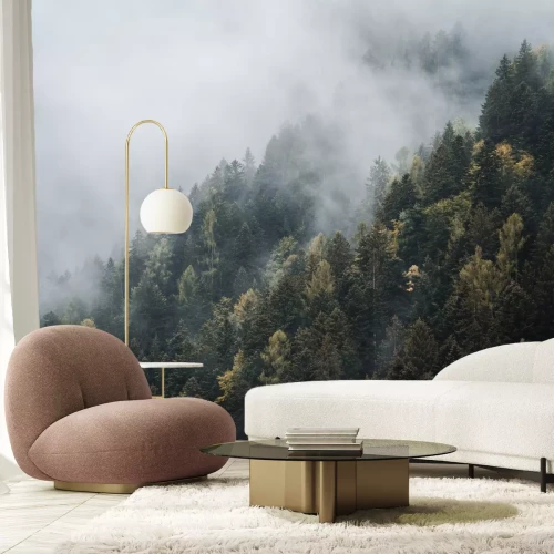 Fototapete Nadelbäume auf den Hügeln im Nebel