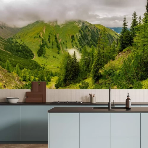 Fototapete Grüne Berglandschaft mit Nadelbäumen