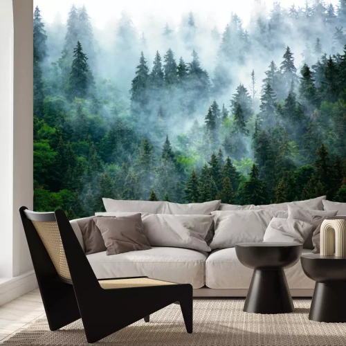 Fototapete Morgennebel über dem dichten dunkelgrünen Wald