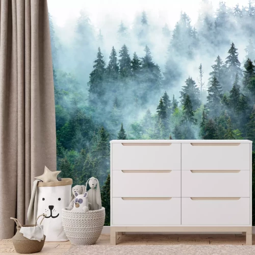 Fototapete Morgennebel über dem dichten dunkelgrünen Wald