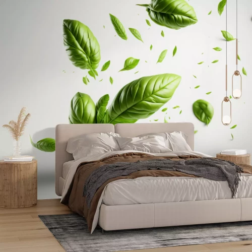 Fototapete Grüne Basilikumblätter auf weißem Hintergrund