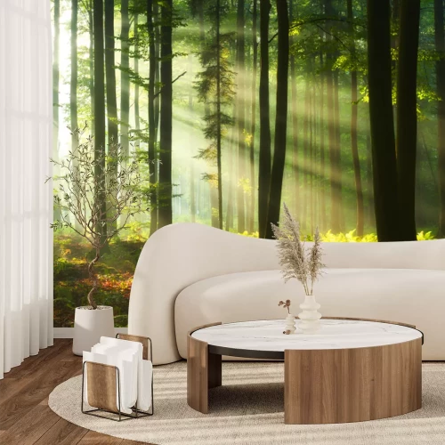 Fototapete Sonnenaufgang in einer grünen Waldlandschaft