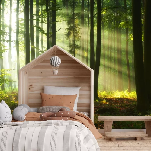 Fototapete Sonnenaufgang in einer grünen Waldlandschaft