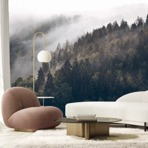 Fototapete Dunkelgrüner Nadelwald auf den Hügeln im Nebel