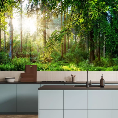 Fototapete Grüne Waldlandschaft am Morgen