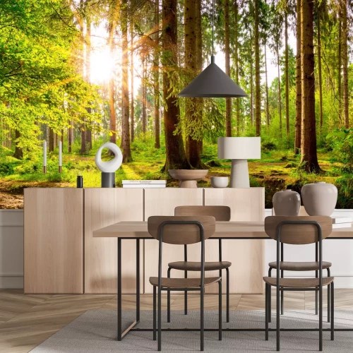 Fototapete Grüner Wald am Morgen mit Sonnenstrahlen