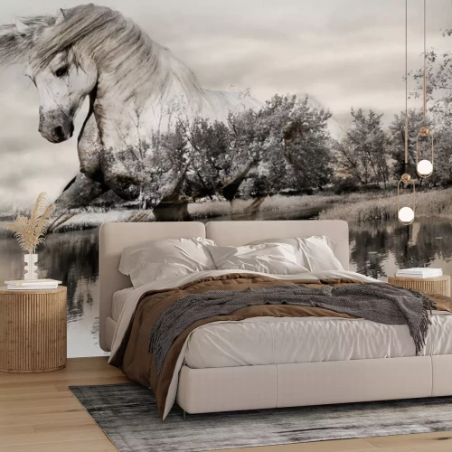 Fototapete Ein Pferd galoppiert durch eine Waldlandschaft