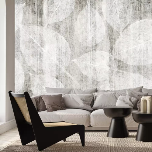 Fototapete Subtile Blätter auf einem Kartonhintergrund in Grautönen